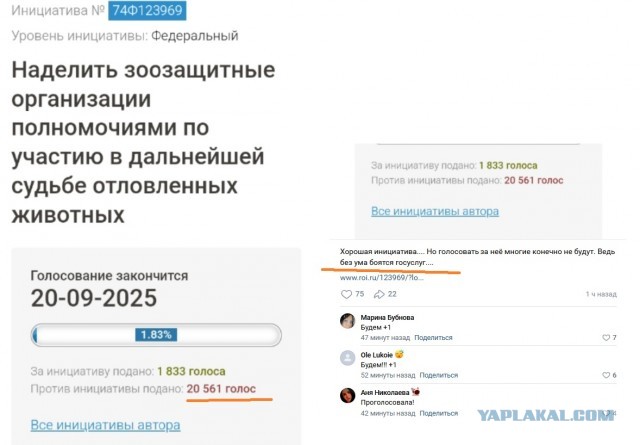 Рабочая группа по внесению изменений в закон о бродячих собаках завершила заседание