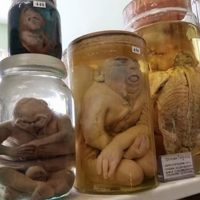 Уборщица навела суеты.