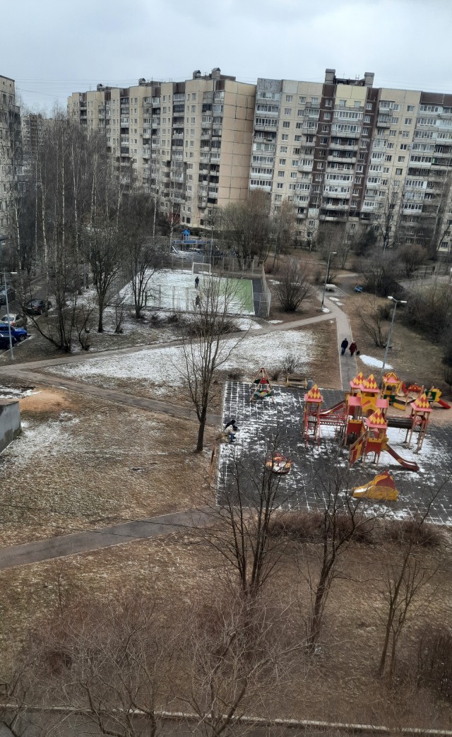 В эти минуты в Петербурге снегопад
