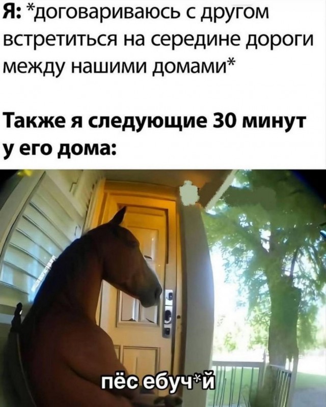 Пятничные тРРРидцать тРРРи!