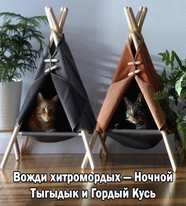 Так себе картинки 12.06.25