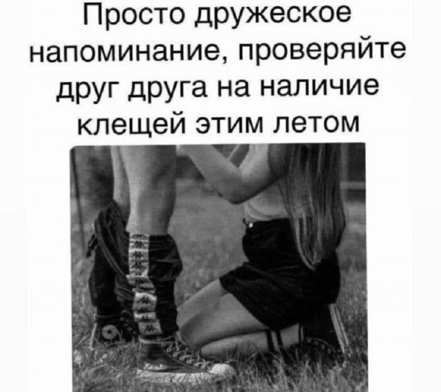 Так себе картинки 06.07.25