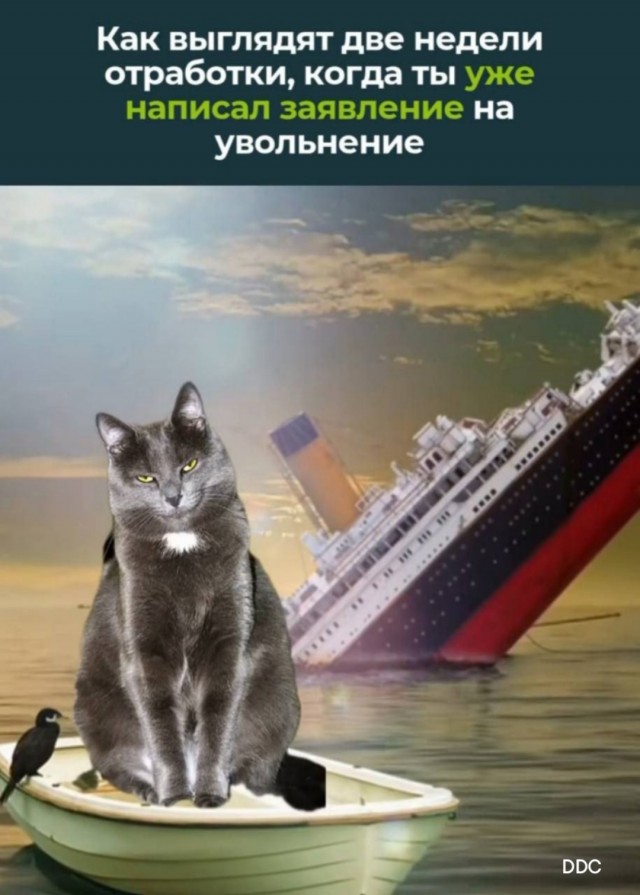 УВБ-76 передала