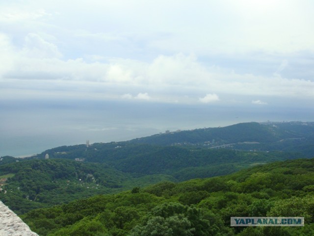 Отпуск в Сочи