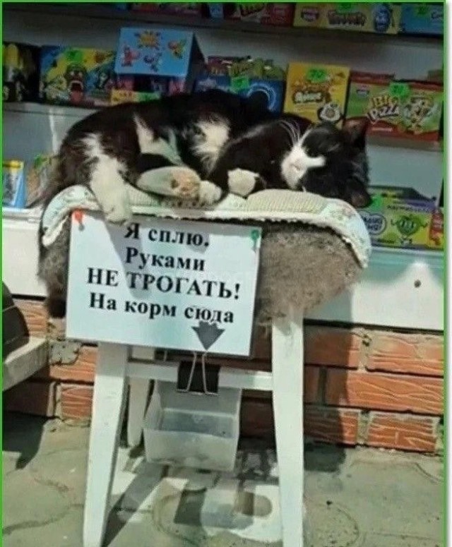 Воскресные картинки