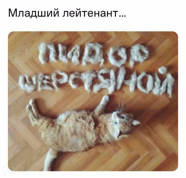 Небаянистая деградация 12