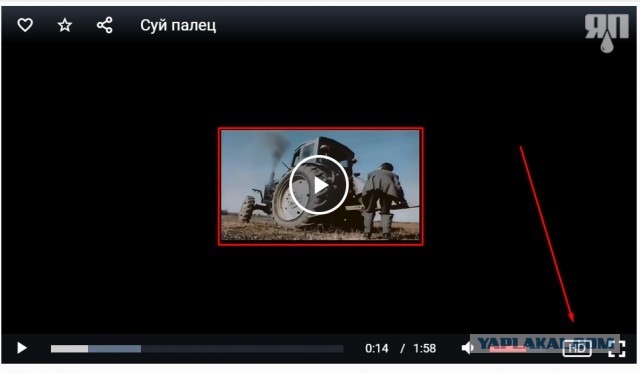 Суй палец
