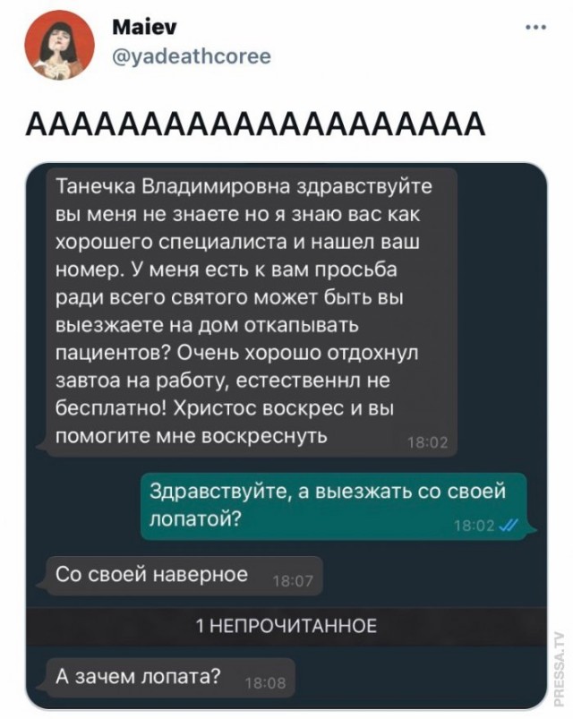 Веселые картинки в маленькую пятницу (25.02)