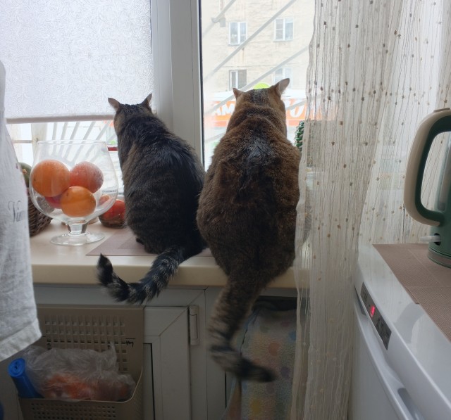 И так ...Вторник