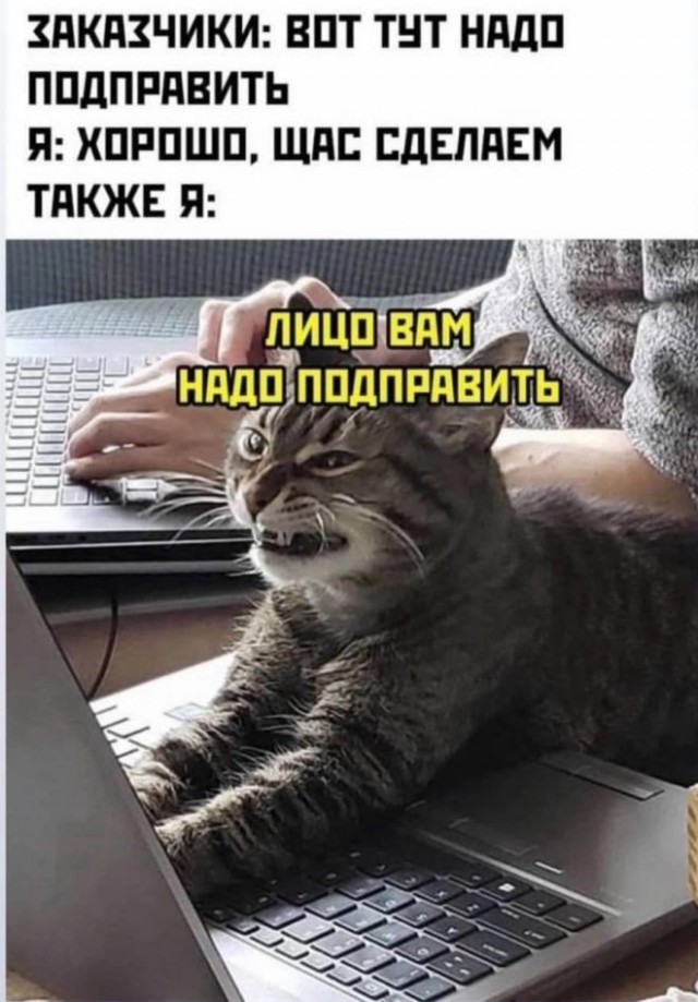 Картиночки, баянчики 29 марта
