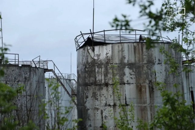 В Латвии рухнули 2 украинских дрона-камикадзе