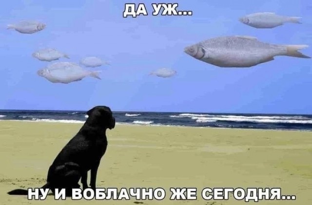 Мемчики