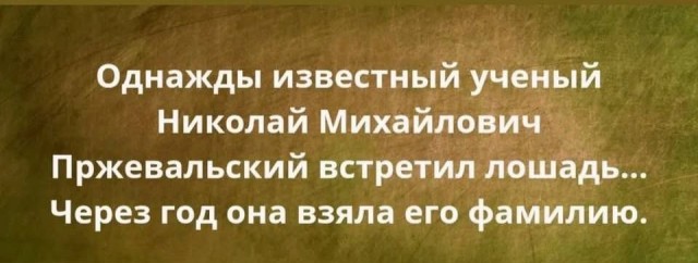 Картинки для деградации 240 (разной степени свежести)