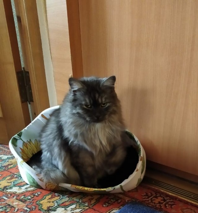 Просто красавчик.