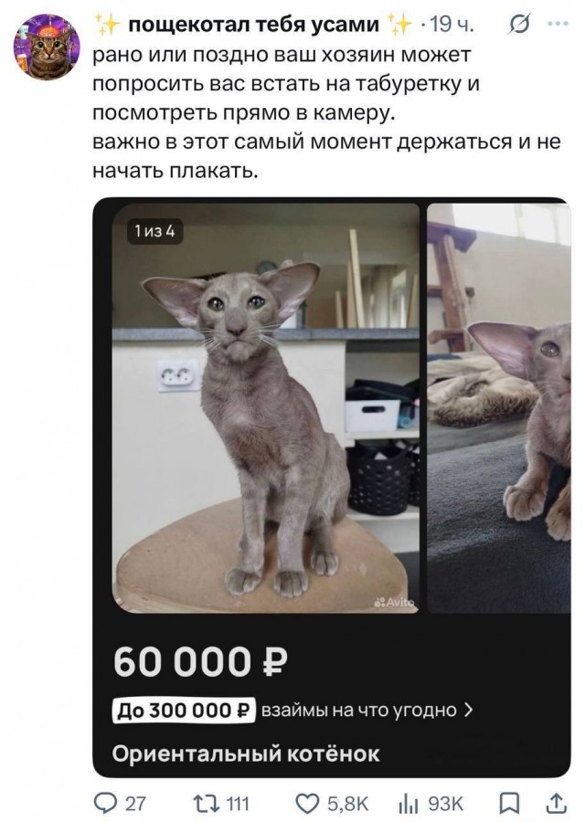 Заплакал даже Эрнест Хемингуэй