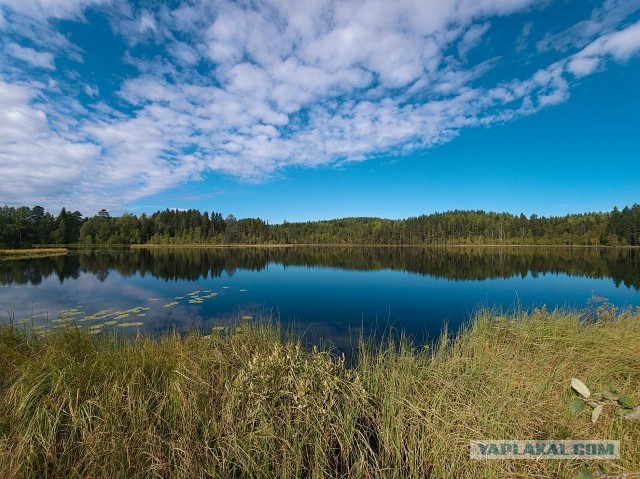 Как я ездил по Карелии