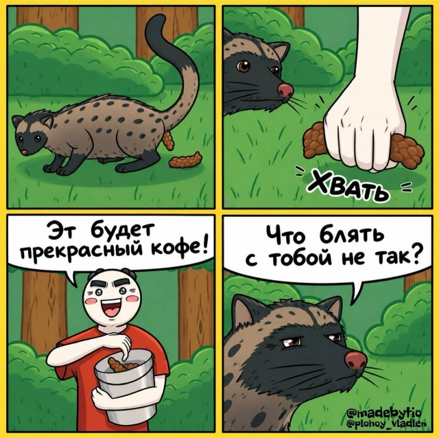 Картинки для деградации 292 (разной степени свежести)