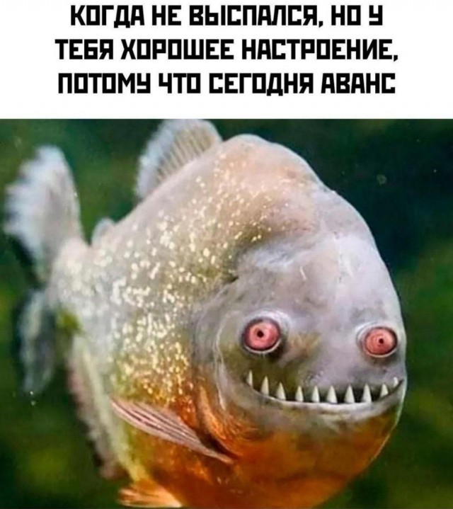 Так себе картинки 09.10.26