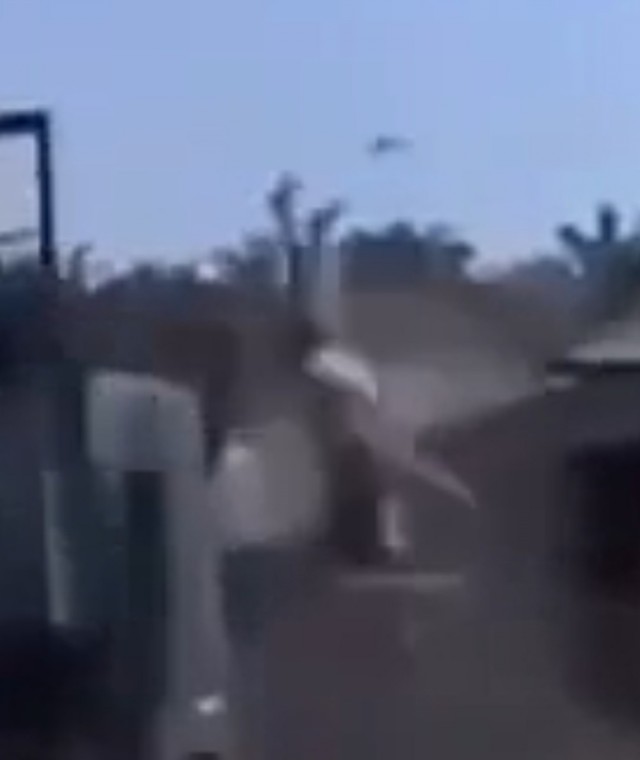 ставим оценки