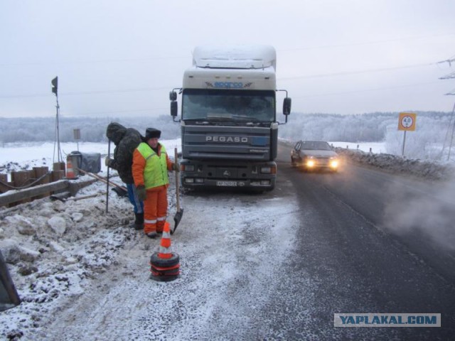 Пензенские Бизоны