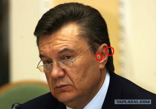 А был ли Янукович?