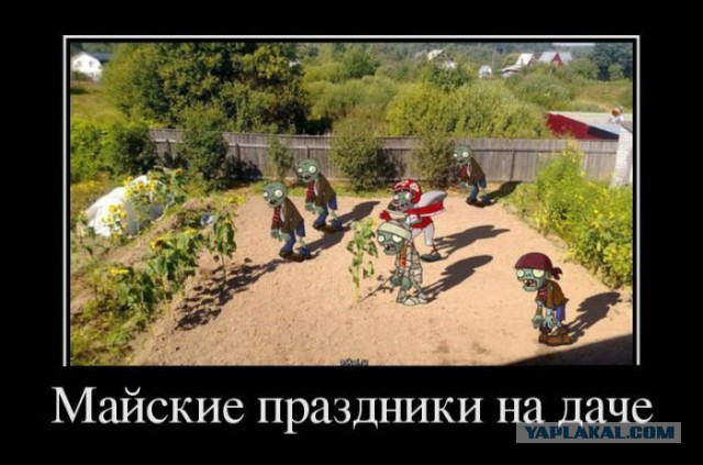 А картинки?