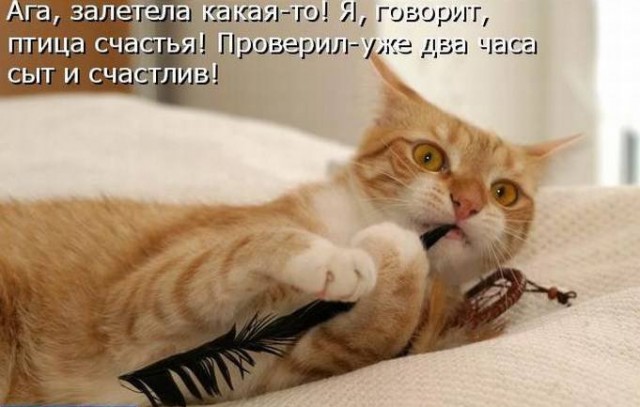 Картинки разные