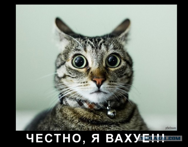 Вновь тверк на фоне военного мемориала