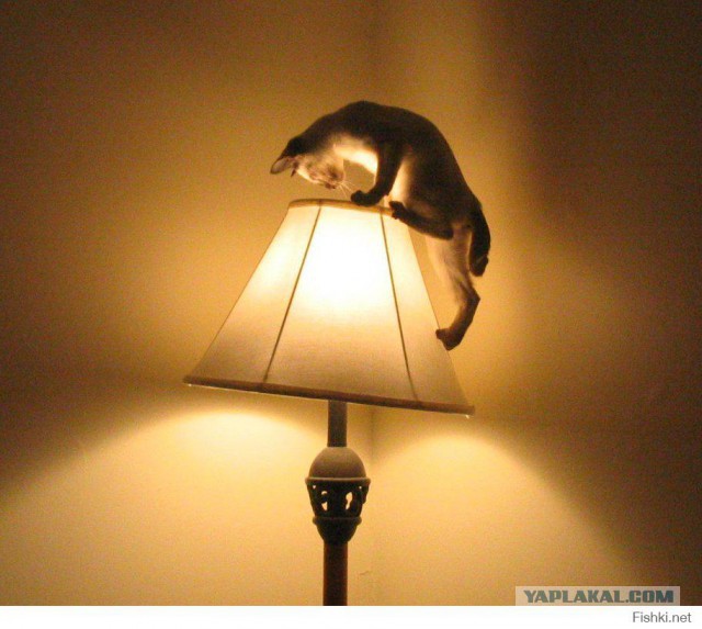 Ничто так не сближает людей, как хорошая музыка!