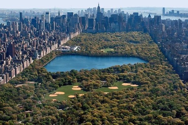 Ничего лишнего, только факты