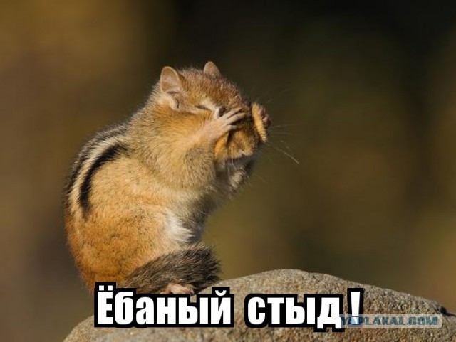 Смоленский креатив. Бессмысленный и беспощадный