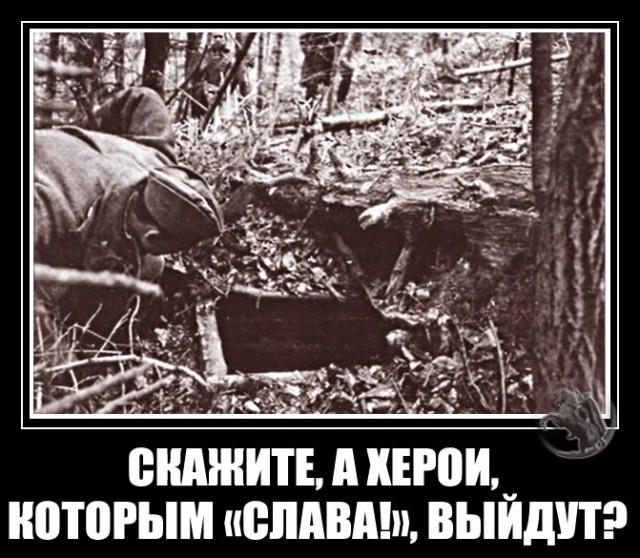 Донбасс, уйди. Крик больной души из зазеркалья!