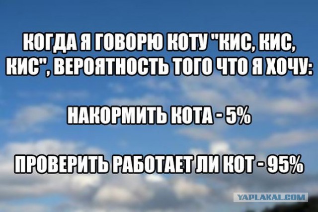 Небольшой микс картинок и гифок