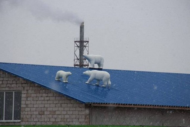 А все остальные страны нам завидуют!