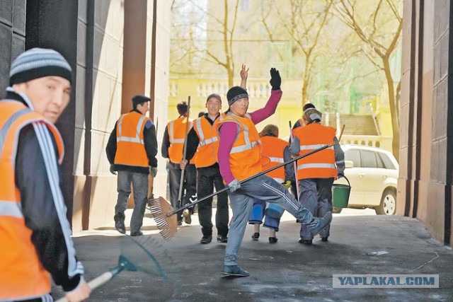 Фанзона в Новосибирске сегодня утром