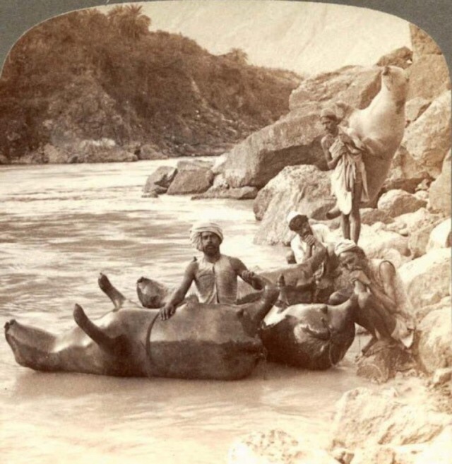 История в фотографиях