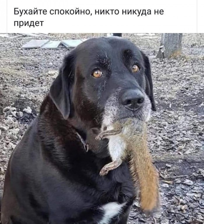 Классные кадры, которые могут удивить