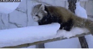 Ой, напилася я пьяною!