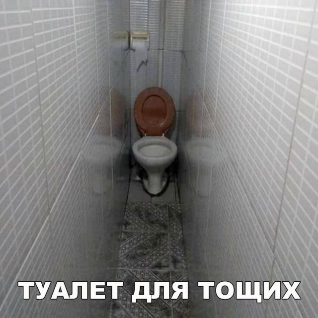Лента прикольных картинок