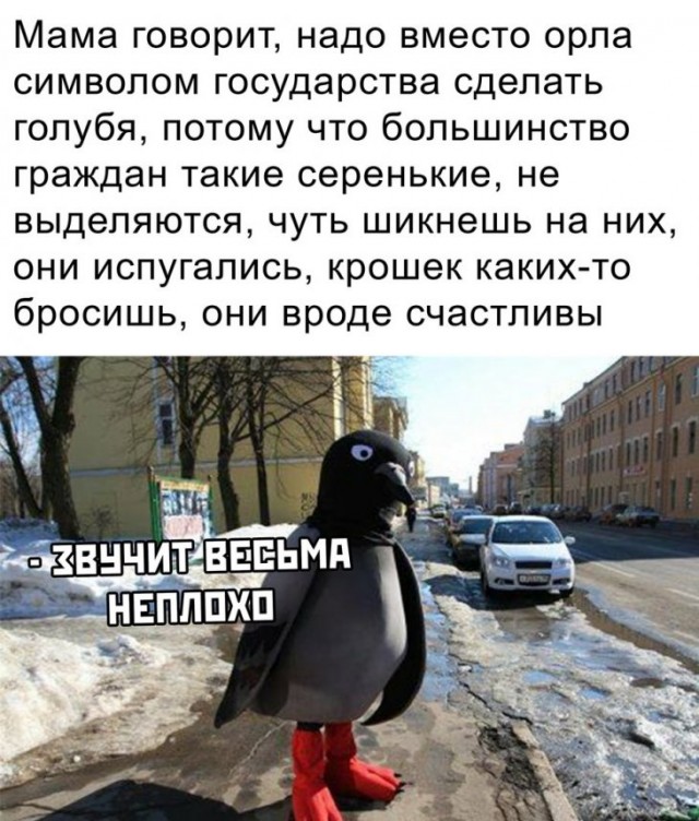 Немного картинок для настроения 22.11.19