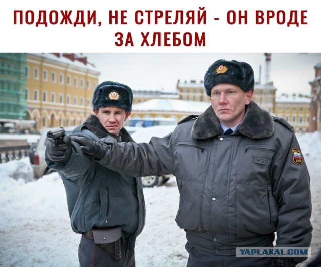 Чуток картинок 1 апреля