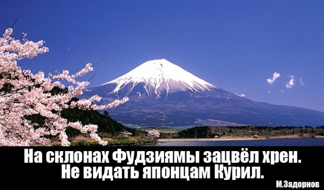 Японцев возмутила новая российская монета