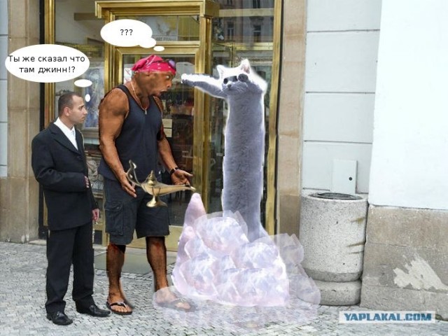 Что он ему сказал?