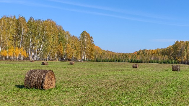 Новосибирская осень. Фотокарточки