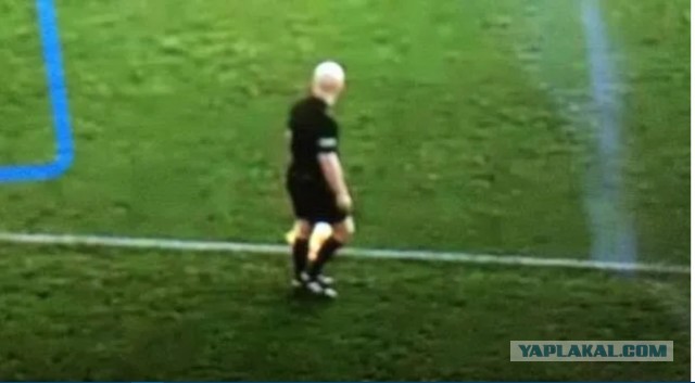 В Шотландии автоматическая камера на стадионе настроилась на лысину арбитра и всё время показывала его голову