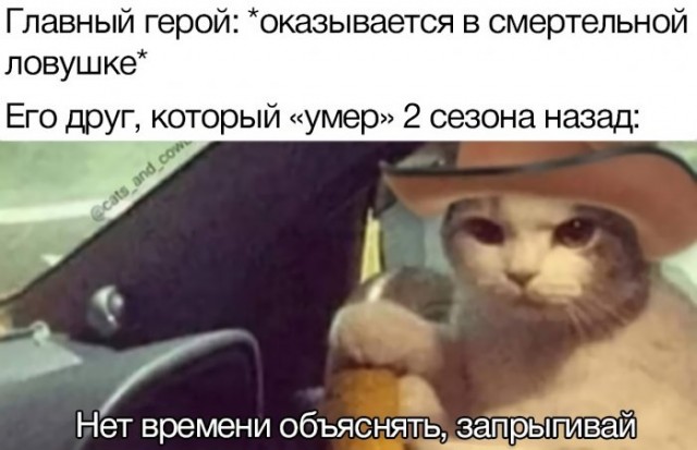 Немного картинок для настроения 06.11.20