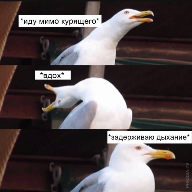Немного картинок для настроения 16.11.20