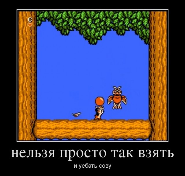 Фотожаба:Нельзя просто так взять и нарисовать СОВУ