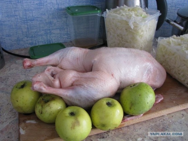 Утка по Дженибековски