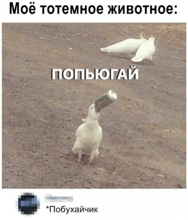 Пьятничные картинки